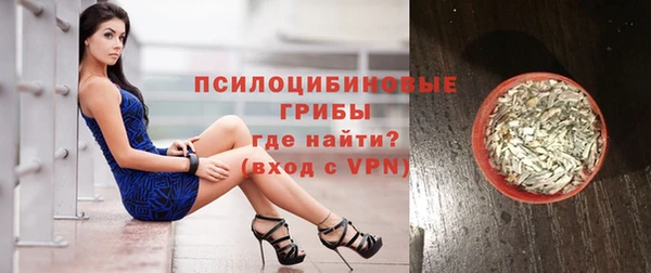 шишки Лагань