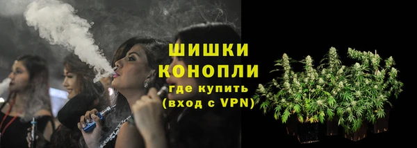 шишки Лагань
