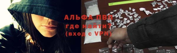 СК Волгодонск