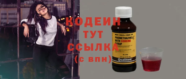 шишки Лагань