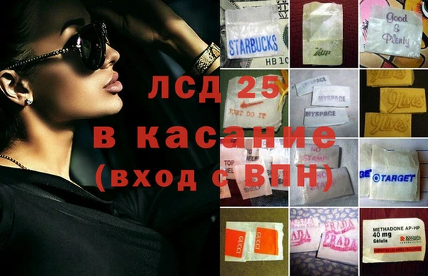 шишки Лагань