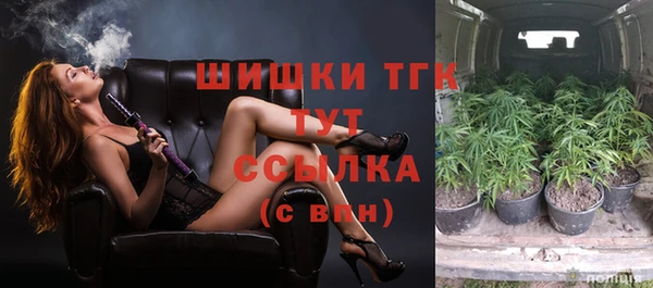 шишки Лагань