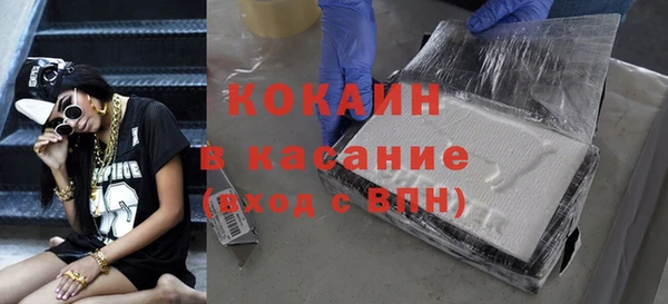 шишки Лагань